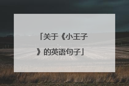 关于《小王子》的英语句子