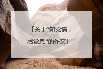 关于“知党情，感党恩”的作文