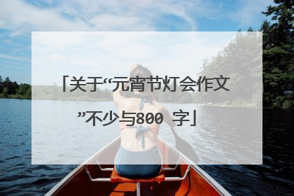关于“元宵节灯会作文”不少与800 字