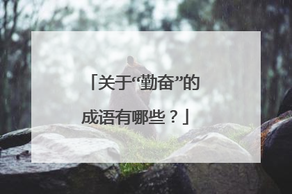 关于“勤奋”的成语有哪些？