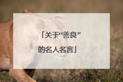 关于“善良”的名人名言