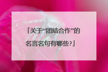 关于“团结合作”的名言名句有哪些?