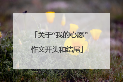 关于“我的心愿”作文开头和结尾