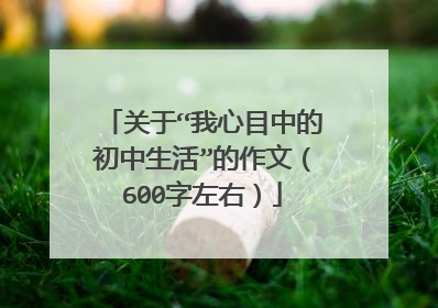 关于“我心目中的初中生活”的作文(600字左右)
