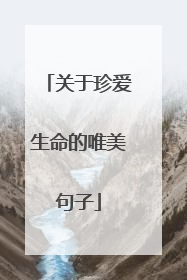 关于珍爱生命的唯美句子