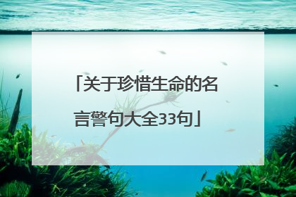 关于珍惜生命的名言警句大全33句