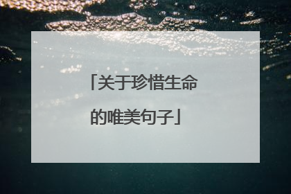 关于珍惜生命的唯美句子