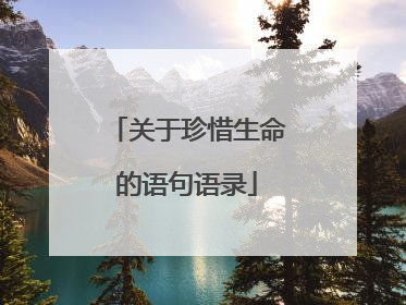 关于珍惜生命的语句语录