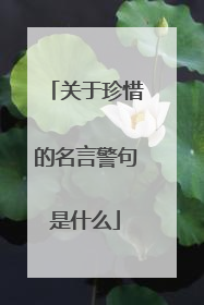 关于珍惜的名言警句是什么
