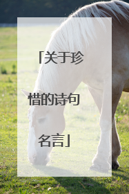 关于珍惜的诗句名言
