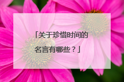 关于珍惜时间的名言有哪些？