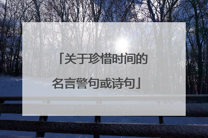 关于珍惜时间的名言警句或诗句