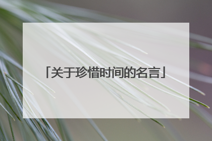 关于珍惜时间的名言