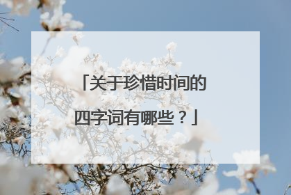 关于珍惜时间的四字词有哪些?