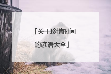 关于珍惜时间的谚语大全