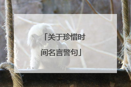 关于珍惜时间名言警句