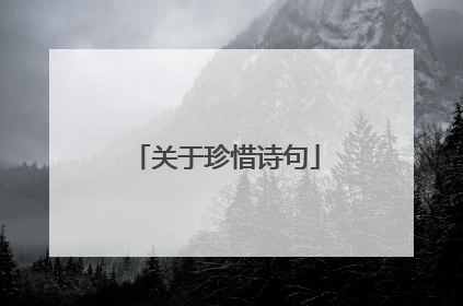 关于珍惜诗句
