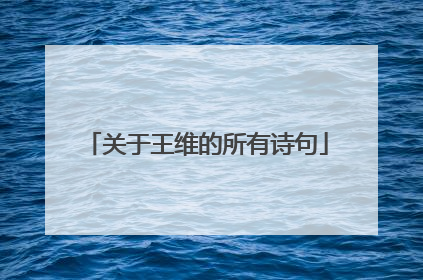 关于王维的所有诗句
