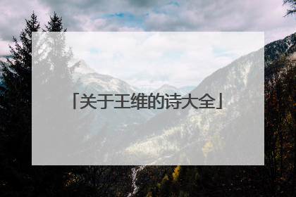 关于王维的诗大全