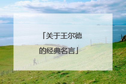 关于王尔德的经典名言