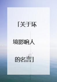 关于环境影响人的名言