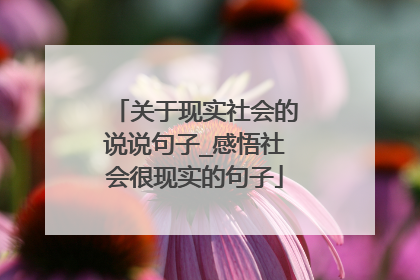 关于现实社会的说说句子_感悟社会很现实的句子