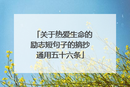 关于热爱生命的励志短句子的摘抄通用五十六条