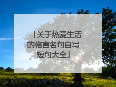 关于热爱生活的格言名句自写短句大全