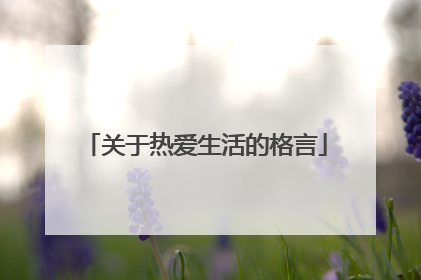 关于热爱生活的格言