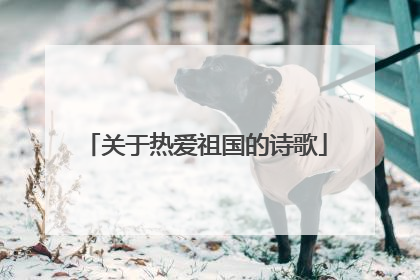 关于热爱祖国的诗歌