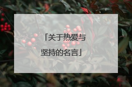 关于热爱与坚持的名言