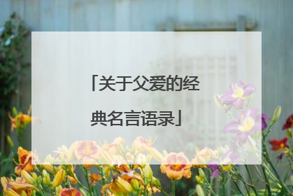 关于父爱的经典名言语录