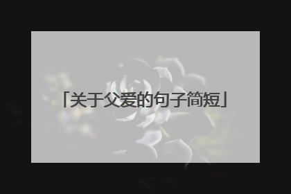 关于父爱的句子简短