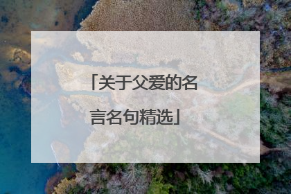 关于父爱的名言名句精选