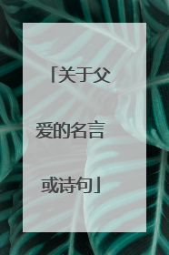 关于父爱的名言或诗句