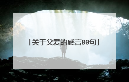 关于父爱的感言80句