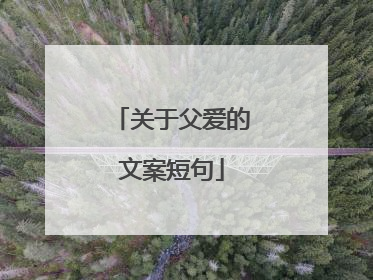 关于父爱的文案短句