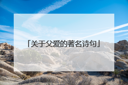 关于父爱的著名诗句