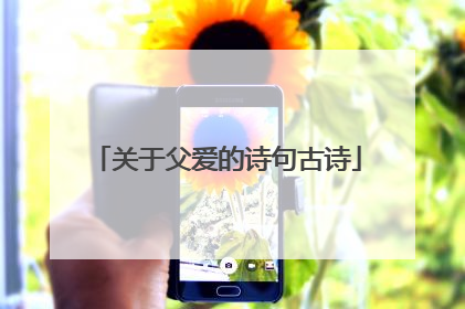 关于父爱的诗句古诗