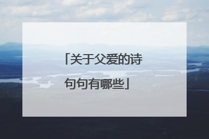 关于父爱的诗句句有哪些