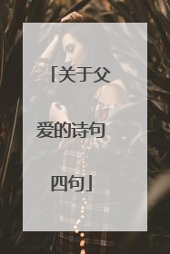 关于父爱的诗句四句