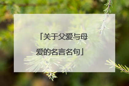 关于父爱与母爱的名言名句
