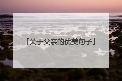 关于父亲的优美句子