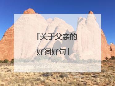 关于父亲的好词好句