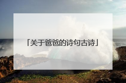 关于爸爸的诗句古诗