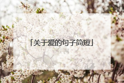 关于爱的句子简短