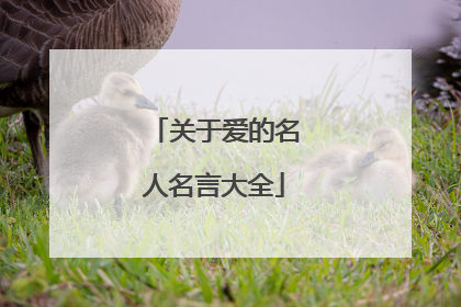 关于爱的名人名言大全
