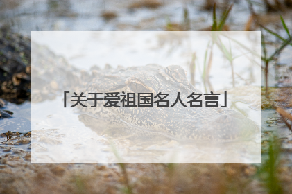 关于爱祖国名人名言