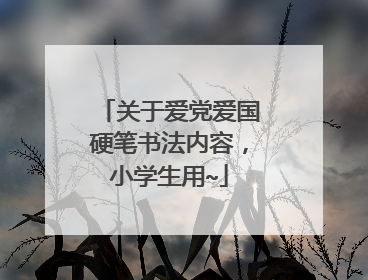 关于爱党爱国硬笔书法内容，小学生用~