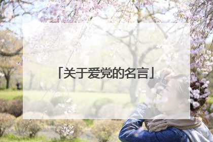 关于爱党的名言